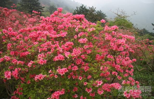 史上最完整土壤知识