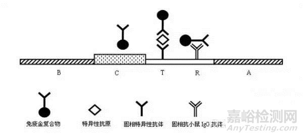 国内外李斯特菌主要检验方法