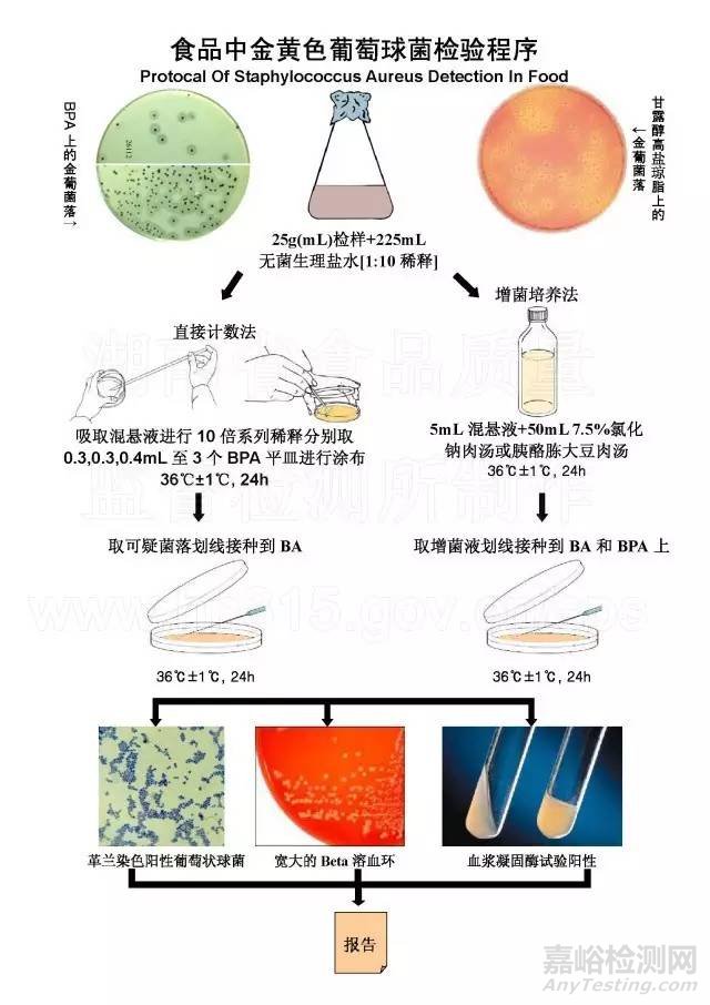 食品微生物检测