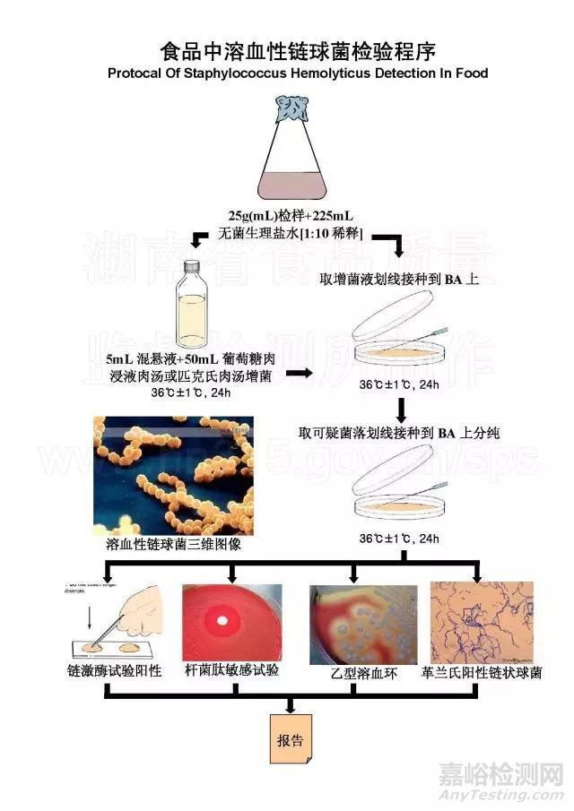 食品微生物检测