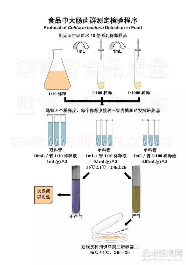 食品微生物检测