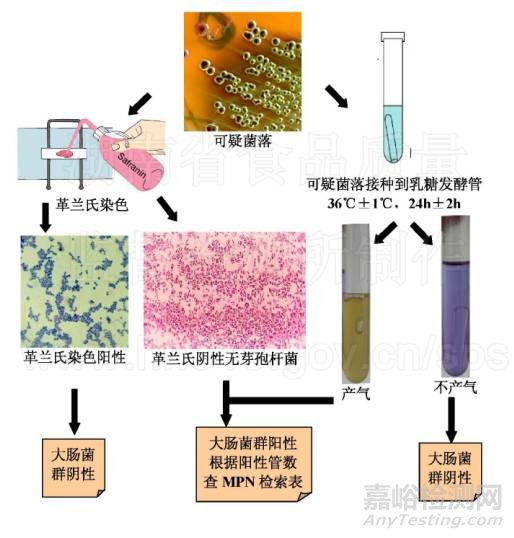 食品微生物检测