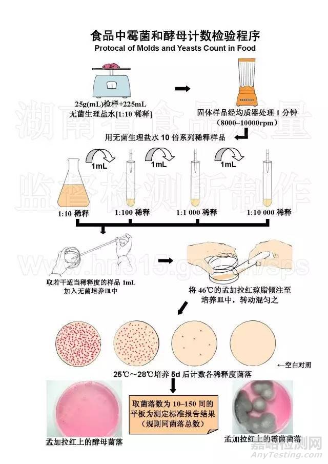 食品微生物检测