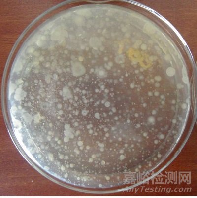 2)该平板菌落生长蔓延,要避免这种情况,需要在平板凝固后再倒一层琼脂