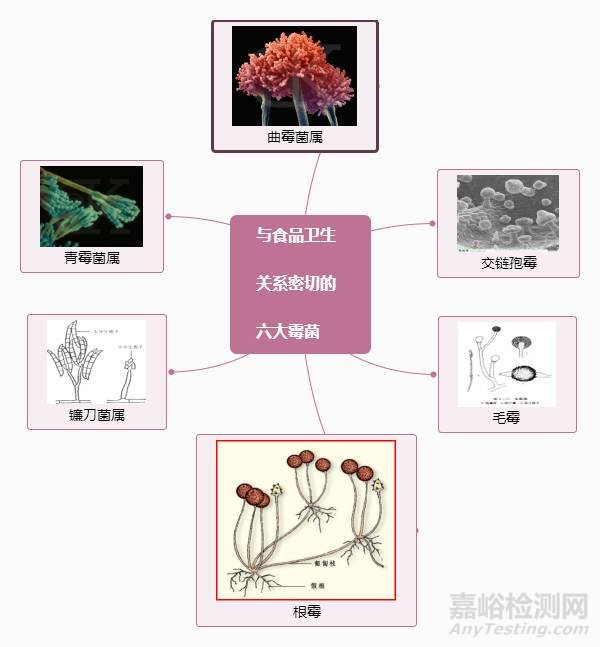 食品生产车间霉菌超标处理方法