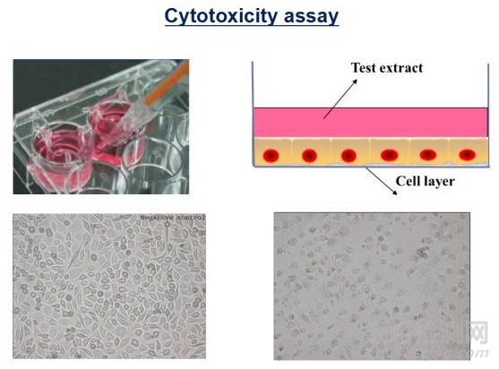 医疗器械的生物学评价与测试过程