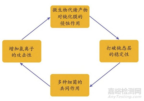 不锈钢在海水中腐蚀特性研究进展