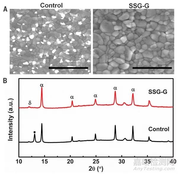 钙钛矿太阳能电池新突破：不一样的二次生长（SSG）技术