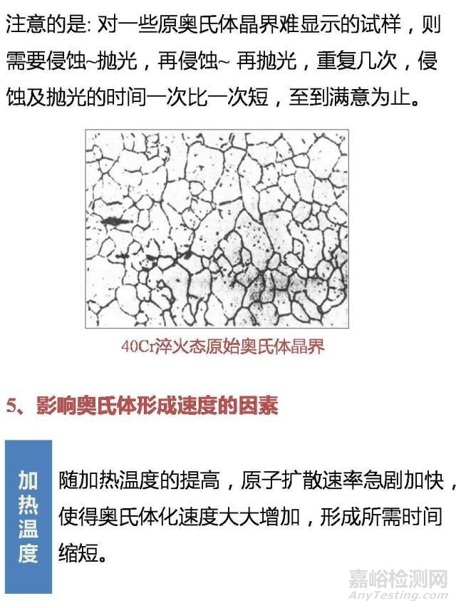 一文带你看懂奥氏体