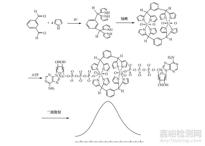 双核铀酰配合物二级散射法检测ATP