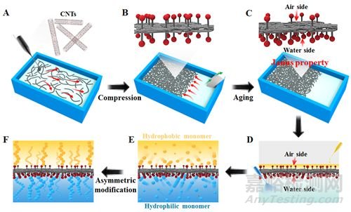 非对称高分子二维复合薄膜制备及其可穿戴传感器应用方面取得进展