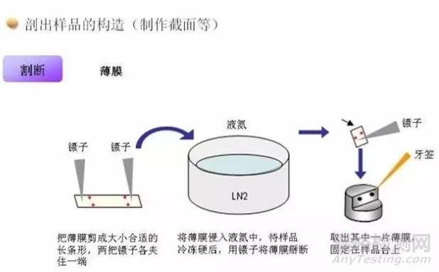 如何拍出高质量SEM、TEM照片