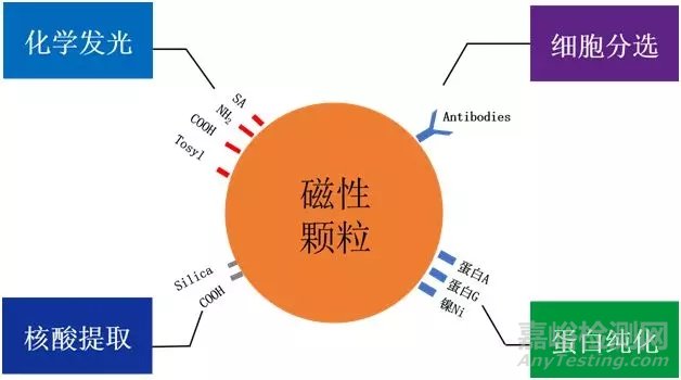 体外诊断供给侧的搅局者--磁性微纳米颗粒