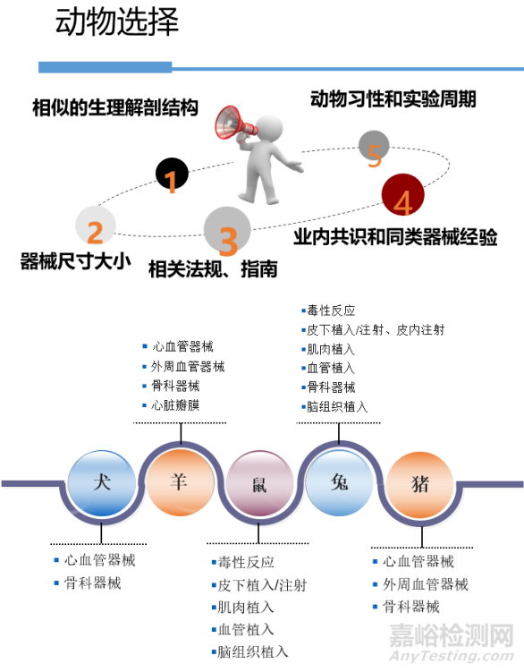 医疗器械原位植入实验方法与实例详解