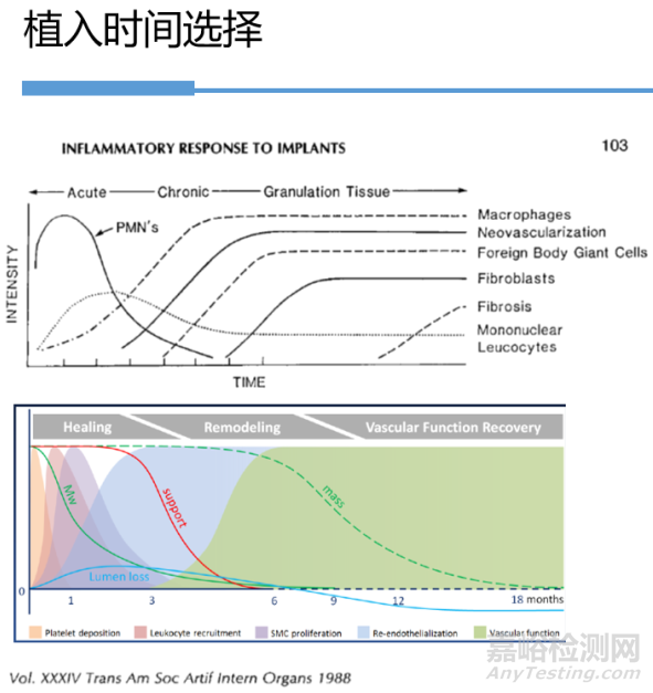 医疗器械原位植入实验方法与实例详解