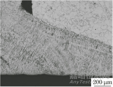 316不锈钢护栏腐蚀失效分析案例