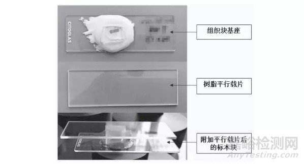 硬组织切磨技术及操作要点