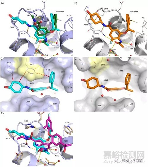 葛兰素史克发现高选择性的BET第二溴域抑制剂