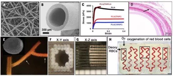 Science综述：人造血管