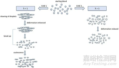 微原纤化复合材料的加工、结构与性能的关系