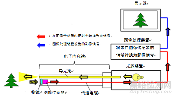 电子上消化道内窥镜注册技术审查指导原则