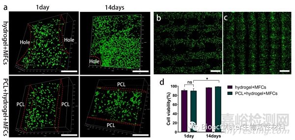 3D生物打印仿生半月板支架应用于组织工程领域