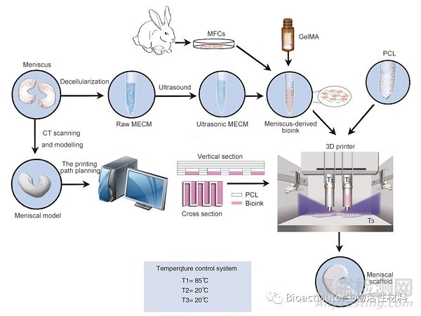 3D生物打印仿生半月板支架应用于组织工程领域