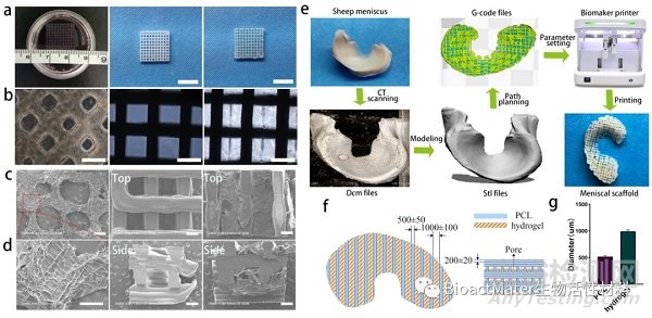 3D生物打印仿生半月板支架应用于组织工程领域