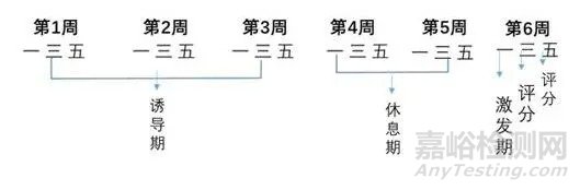 化妆品安全性评价之人体安全性评价