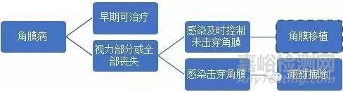 国产人工角膜6月用于临床，超全的人工角膜研发科普贴