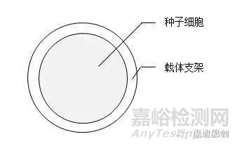 国产人工角膜6月用于临床，超全的人工角膜研发科普贴