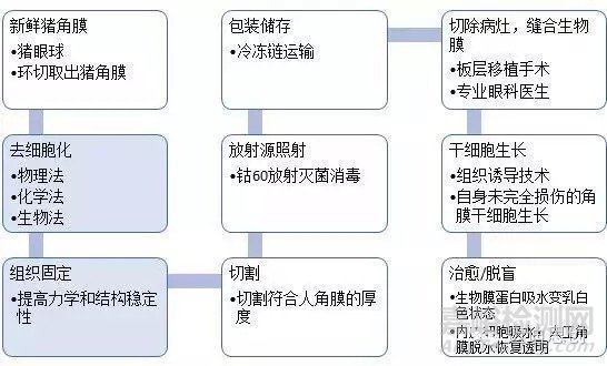 国产人工角膜6月用于临床，超全的人工角膜研发科普贴