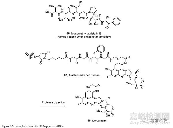 从FDA近10年批准的药物看新药研发的趋势与未来（2010-2019）