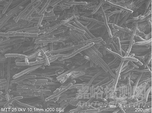 尼龙（PA）塑料断裂案例分析