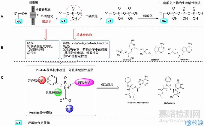 核苷类药物ProTide前药技术概念及临床应用