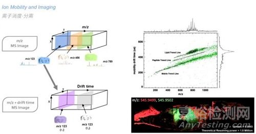 DESI-IMS与MALDI-IMS的区别详解