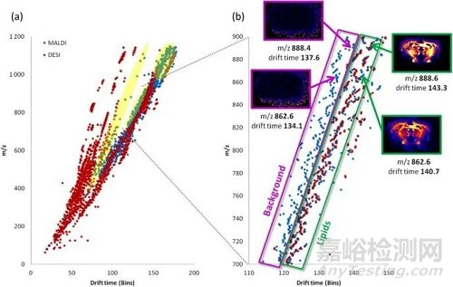 DESI-IMS与MALDI-IMS的区别详解