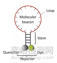 分子诊断技术全解析