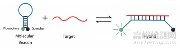 分子诊断技术全解析