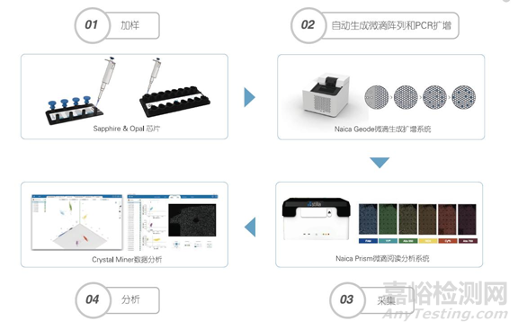 分子诊断技术全解析