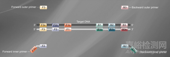 分子诊断技术全解析