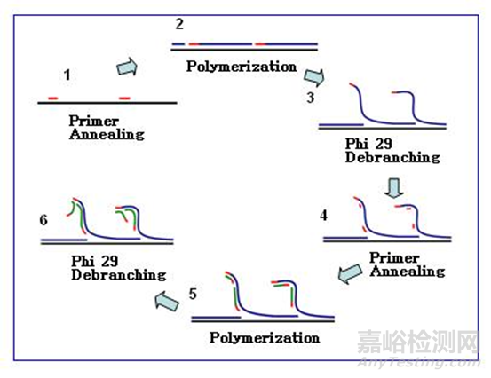 分子诊断技术全解析