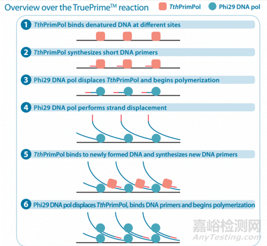 分子诊断技术全解析