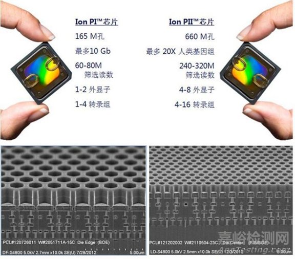 分子诊断技术全解析