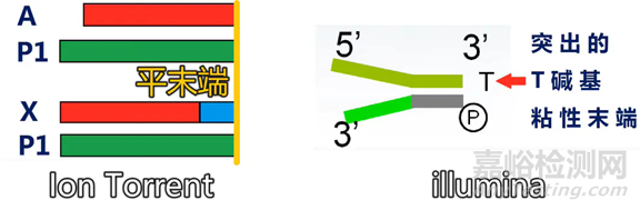 分子诊断技术全解析