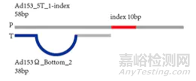 分子诊断技术全解析