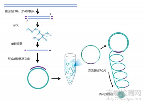 分子诊断技术全解析
