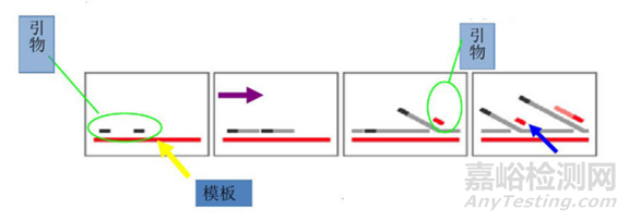 分子诊断技术全解析