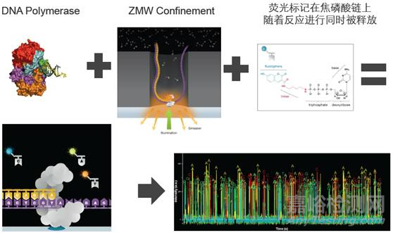 分子诊断技术全解析