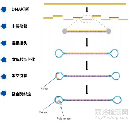 分子诊断技术全解析